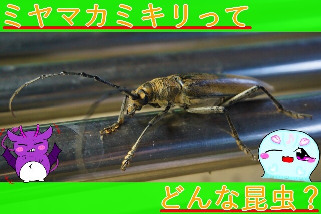 Thumbnail of post image 131